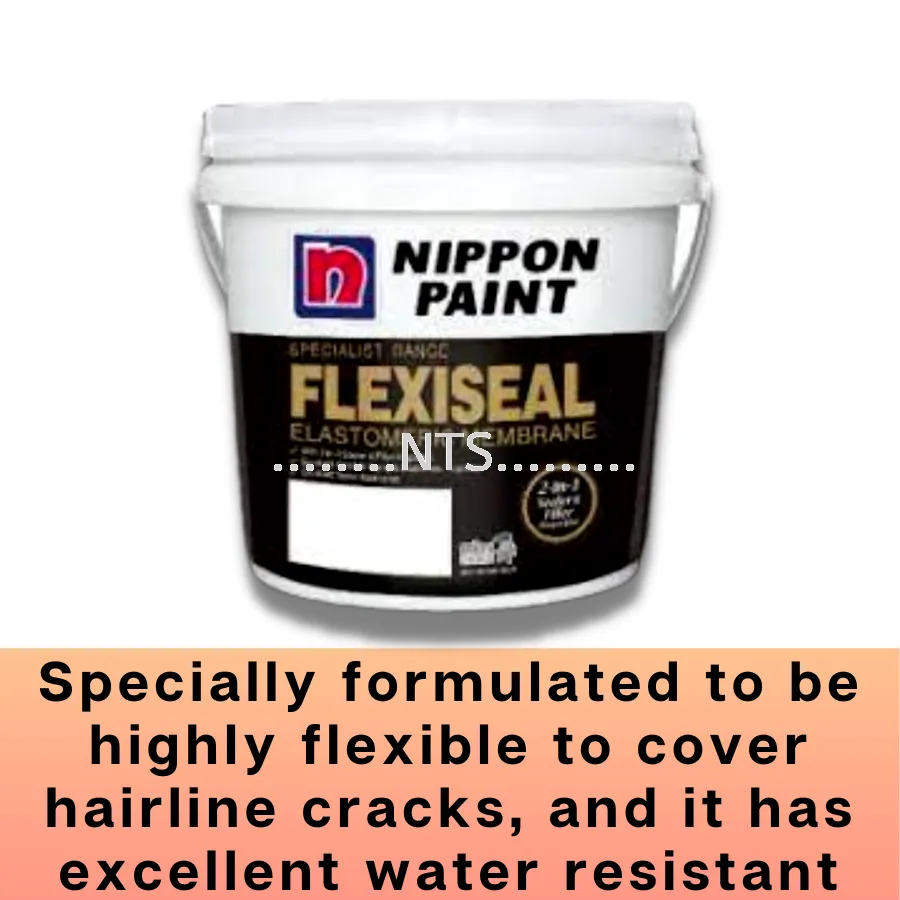 Nippon Paint Flexiseal Wall Sealer