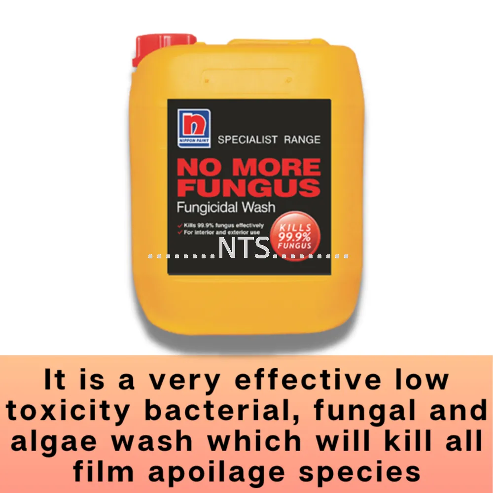 Nippon Paint Fungicidal Wash