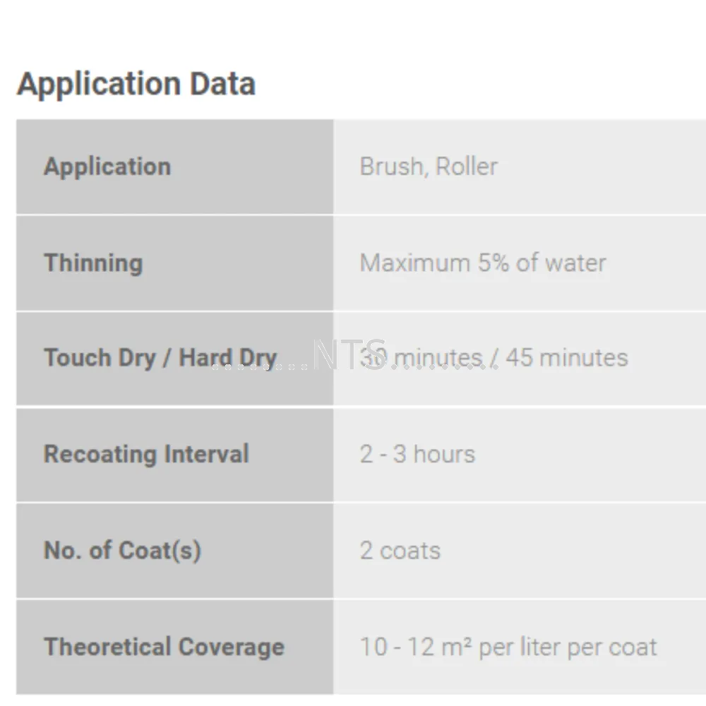 Nippon Paint Weatherbond Flex - Image 3
