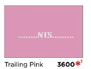 Nippon Satin Glo 3600 Trailing Pink
