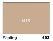 Nippon Satin Glo 493 Sapling